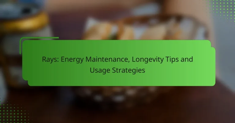 Rays: Energy Maintenance, Longevity Tips and Usage Strategies
