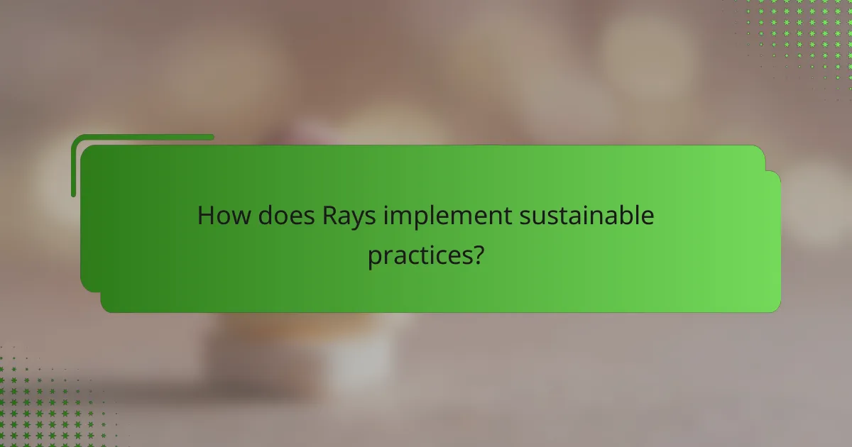 How does Rays implement sustainable practices?
