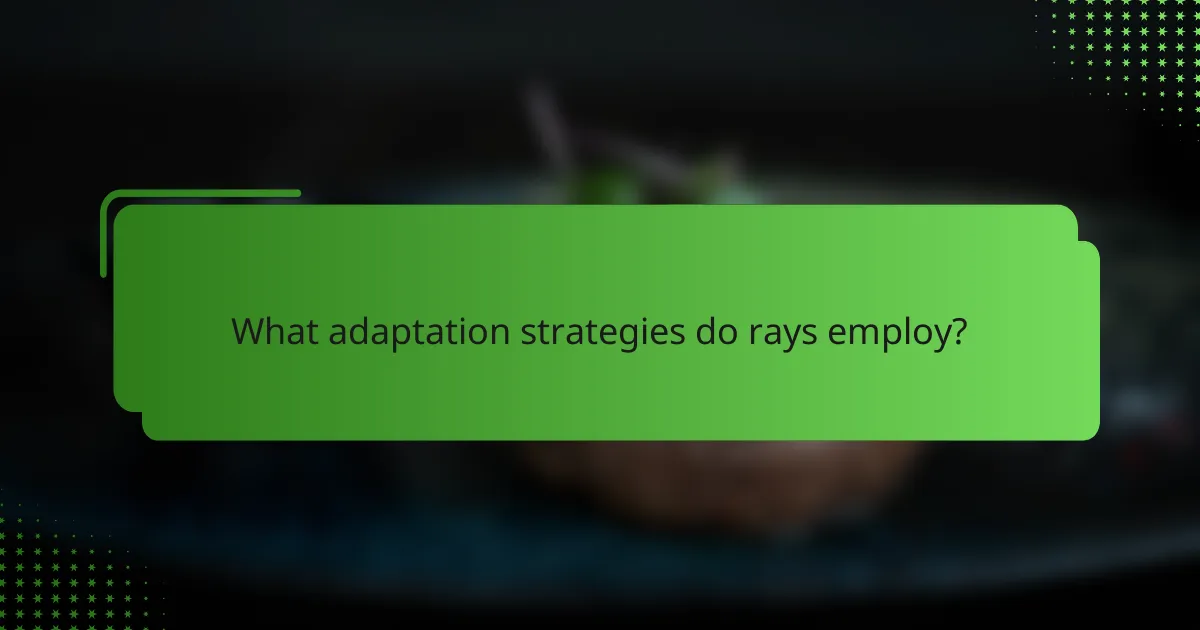 What adaptation strategies do rays employ?