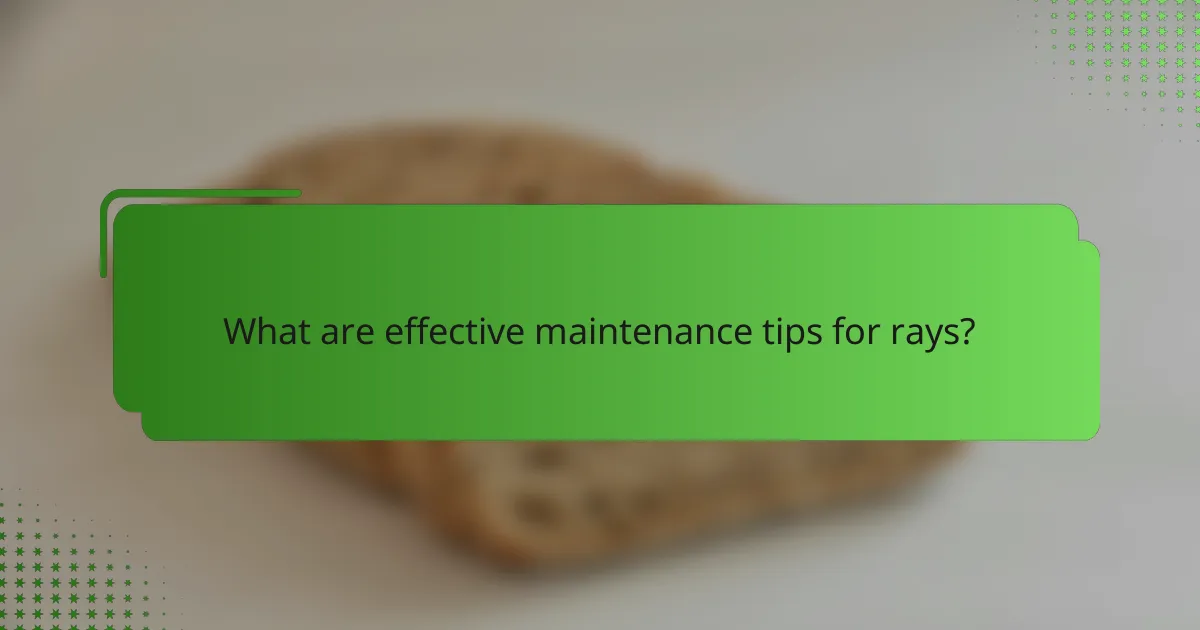 What are effective maintenance tips for rays?
