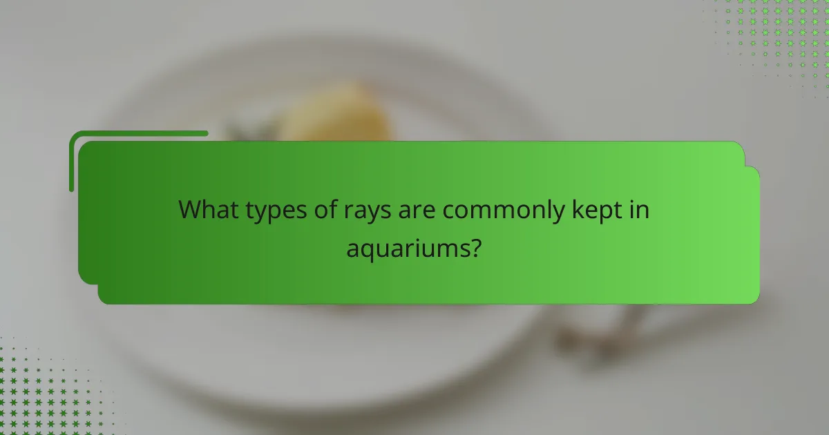 What types of rays are commonly kept in aquariums?